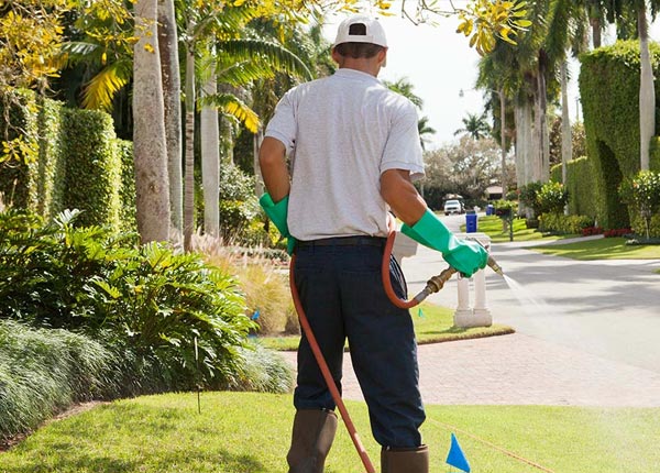 About Boyd MT Pest Control